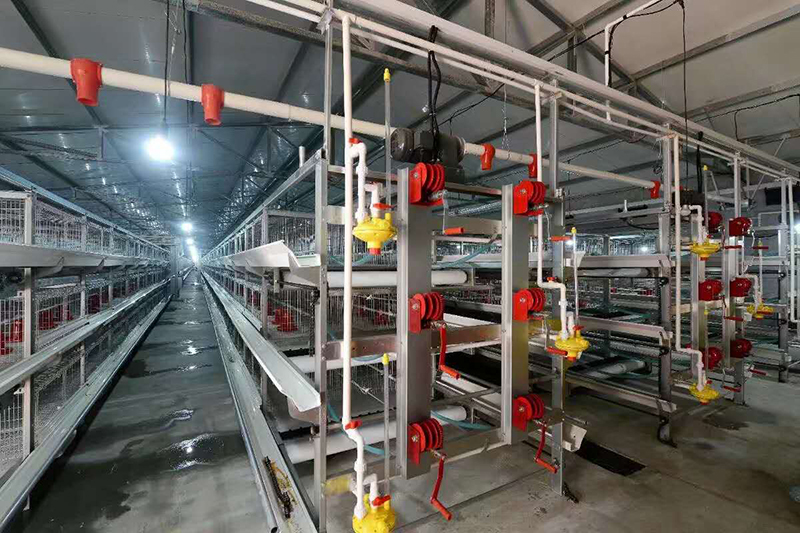 肉鸡装备喂料机为什么会梗塞？？？？？？