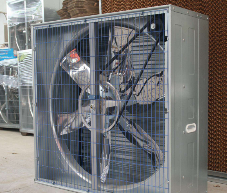 你知道怎样装置肉鸡装备风机水帘更耐用吗？？？？？？？？