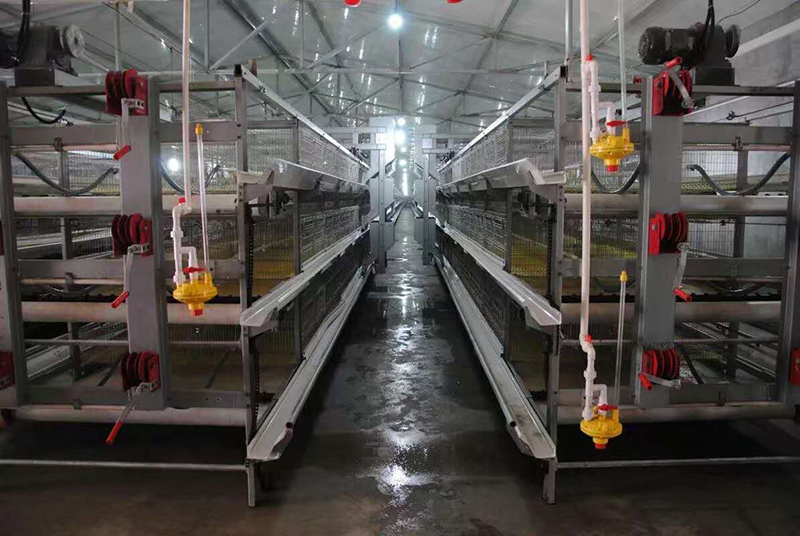 你知道肉鸡装备加料机的组成吗？？？？？？？