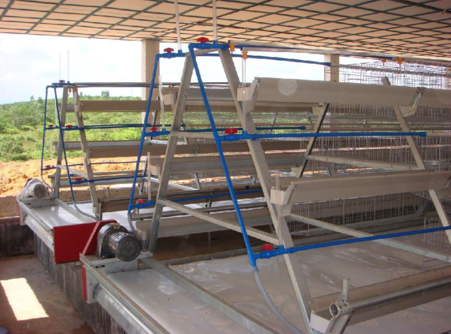 磨练全自动养鸡装备的清静有什么需要注重的事项吗？？？？？？？