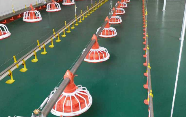 全自动养鸡装备水线的这两个问题你都知道吗？？？？？？？？