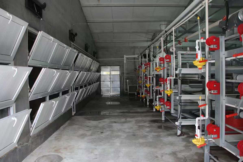 怎样治理肉鸡养殖场的肉鸡装备？？？？？？？