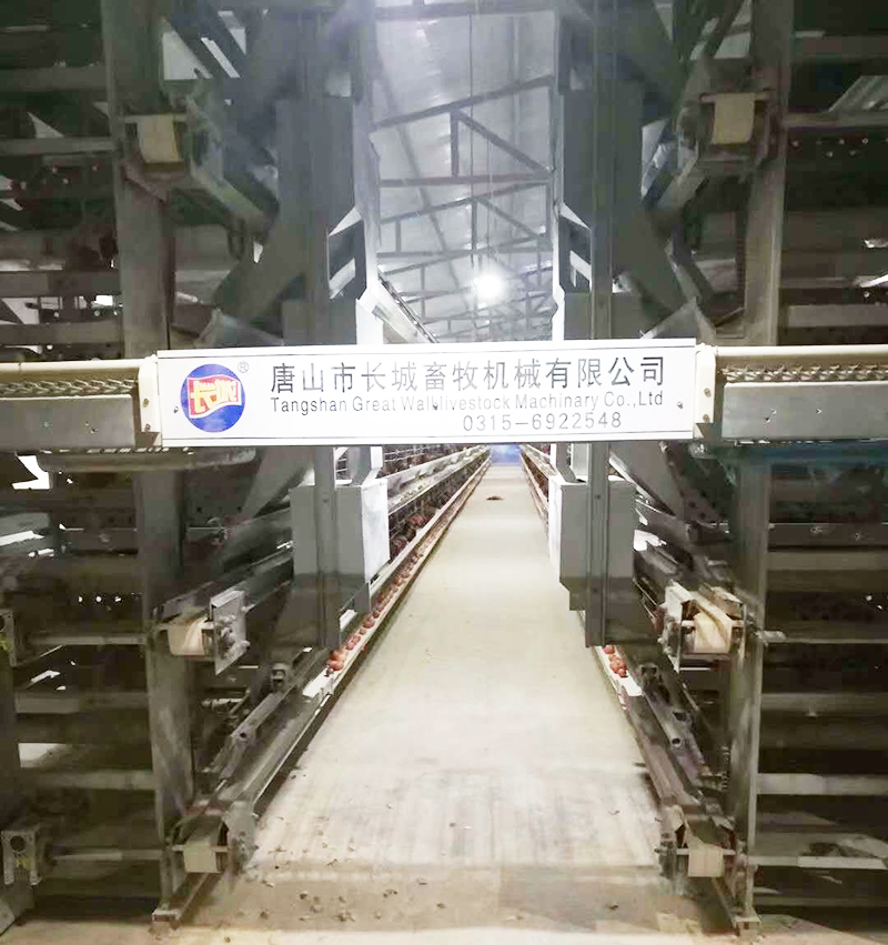 若是您想用自动化装备养蛋鸡，，，，，，，哪些蛋鸡装备是必不可少的？？？？？？？？