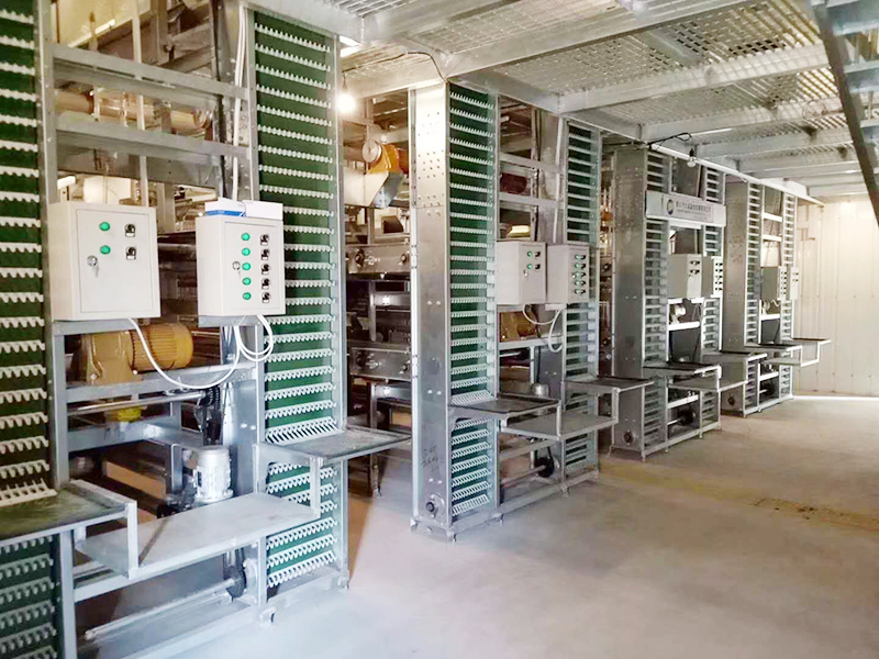 蛋鸡装备的养殖密度是怎样的呢？？？？？？