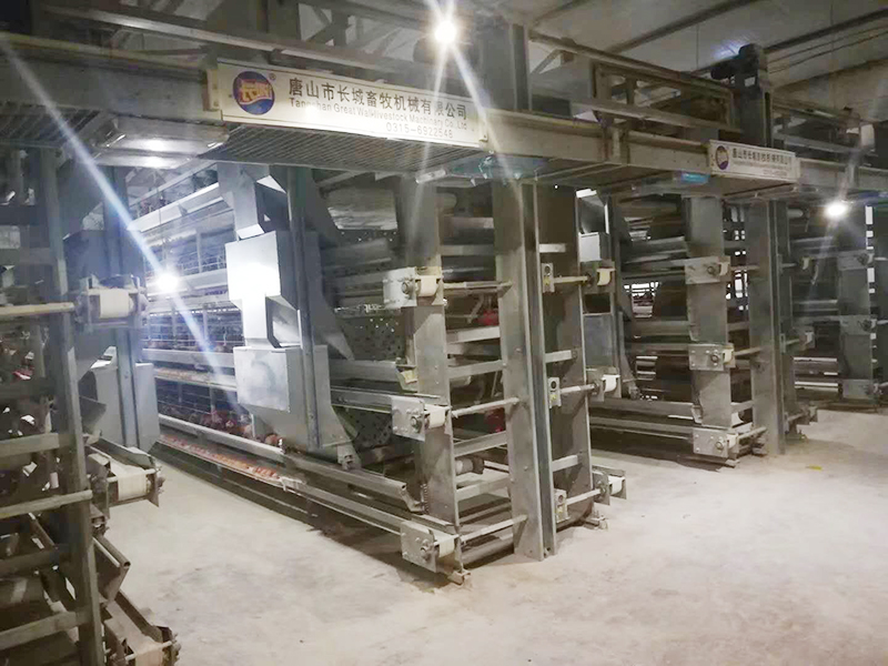 蛋鸡装备该怎样举行使用呢？？？？？？？